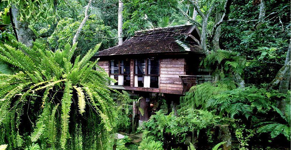 Fern Paradise Chiang Mai Exterior foto