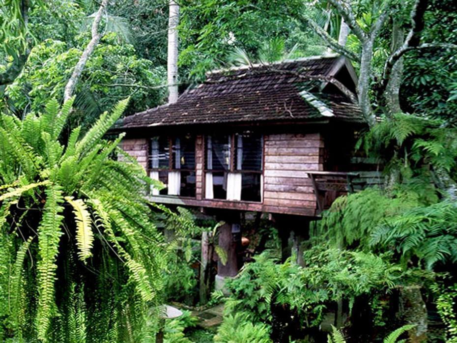 Fern Paradise Chiang Mai Exterior foto