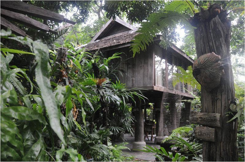 Fern Paradise Chiang Mai Exterior foto