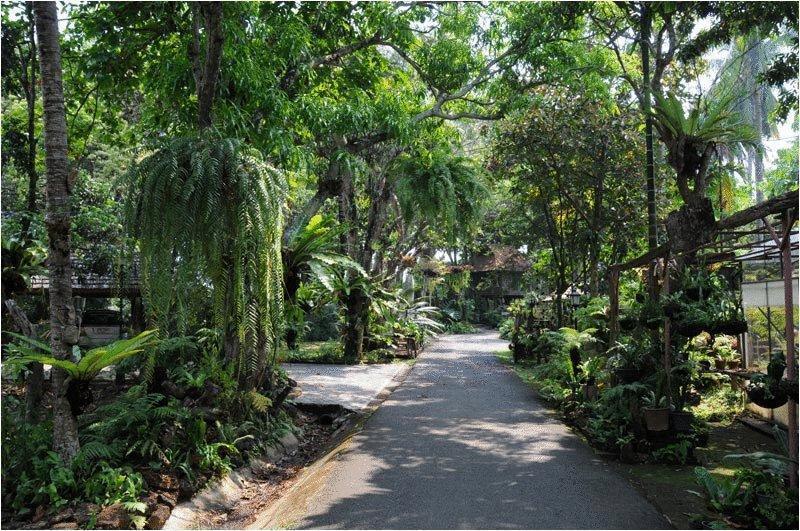 Fern Paradise Chiang Mai Exterior foto