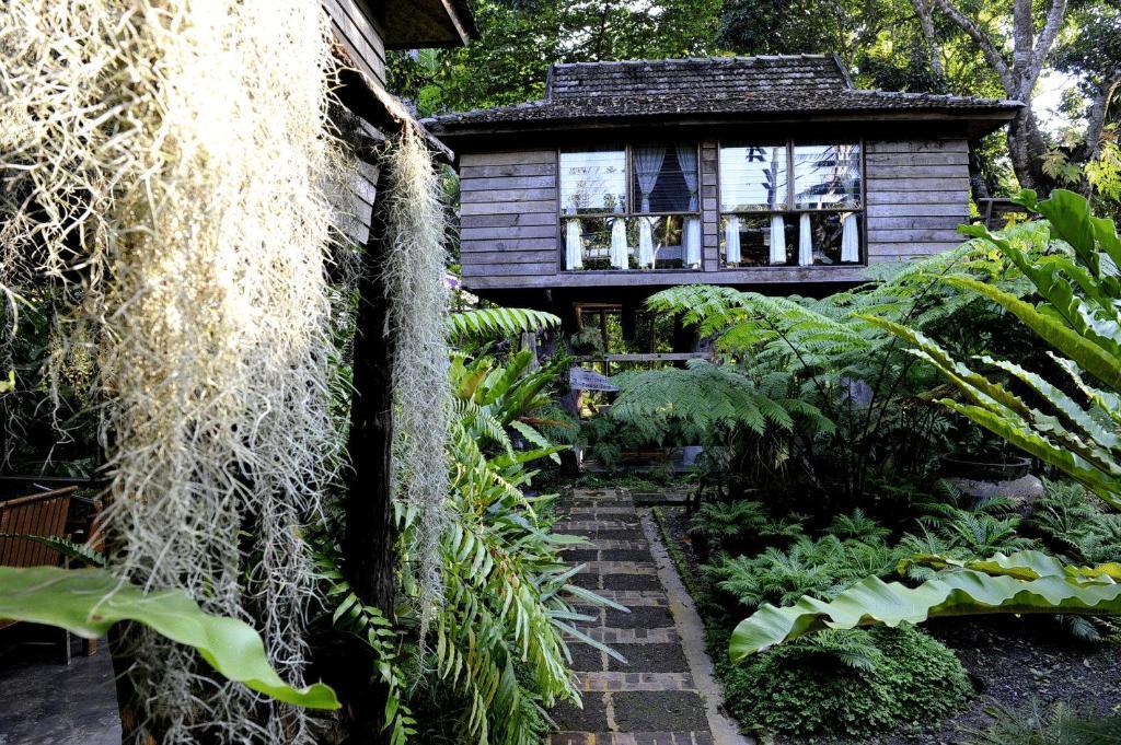 Fern Paradise Chiang Mai Quarto foto